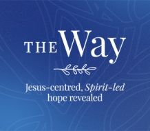 johnson-bros-playtime-plates